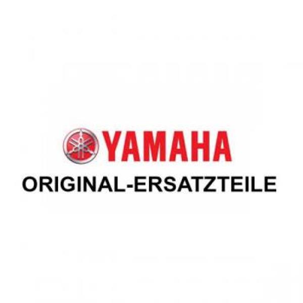 Umbau Yamaha F4 BMH/F5 AMH (4-Takt) auf 4,4 kW (6 PS)
